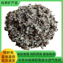 ���њ����������©��������|���N�ݹ��������Bֳ�����ѽq�S��