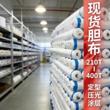 210T-400T������޵������޷��ڵ������޳Ĳ����ޱ������ڵ�����