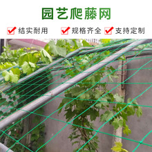 �@ˇ���پW�����S��ֲ�����ٴ�ܾW�ӏ��������W��ţ�������W����