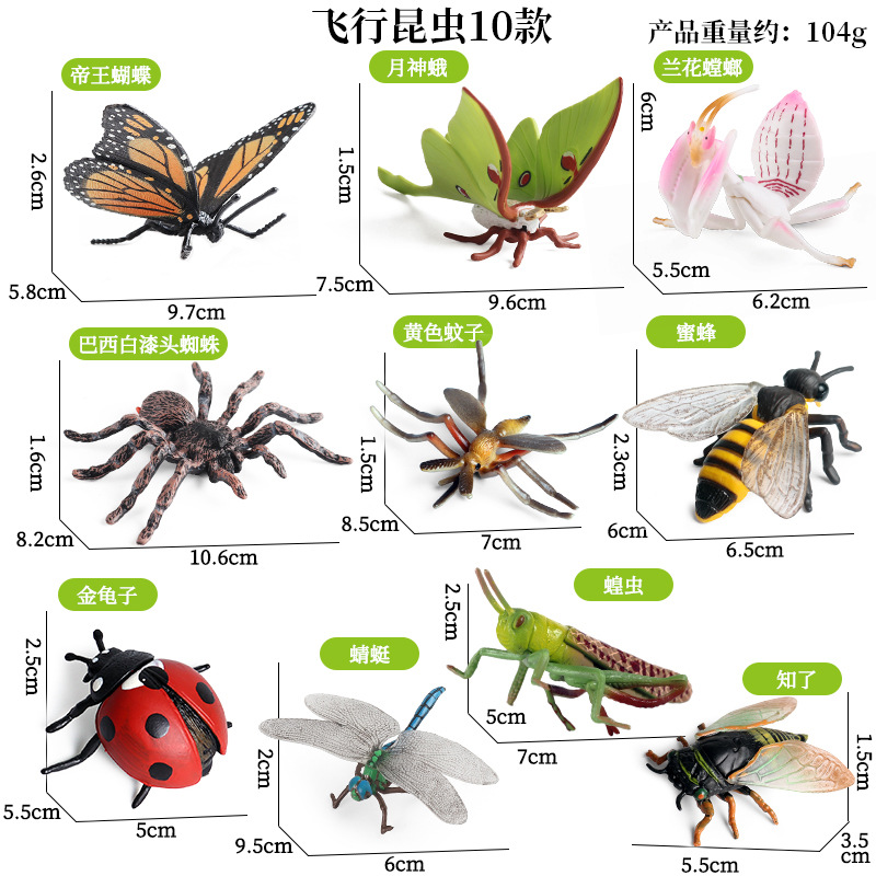 XPZ Insectos Voladores (10 unidades)
