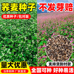 ߮awNӃ|ԴϱͺwwwNļNֲ