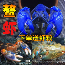 ����{ħ���r��ˮ�^�p�r�˹�����{ħ��ɽ�Ɖ����{���rС���r���]