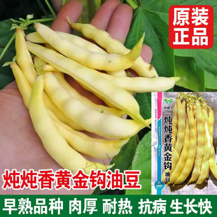 �|���t���h�Ͷ��N�Ӵ��＾�ļ����ǷN���S��ܿ���N���߲˷N��