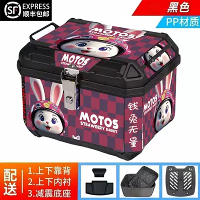 Electric Bikes Motorcycle trunk