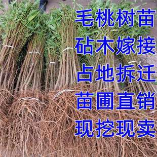 ë���� ���� Ұ���猍�������Ҙ���ľ��ԭ����ռ�ز��w��ռ�����