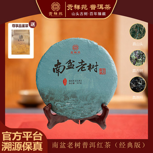 ��ؕ��Է��2021�������Ϙ佛���t������Ϙ��ն����ϲ��~357g/