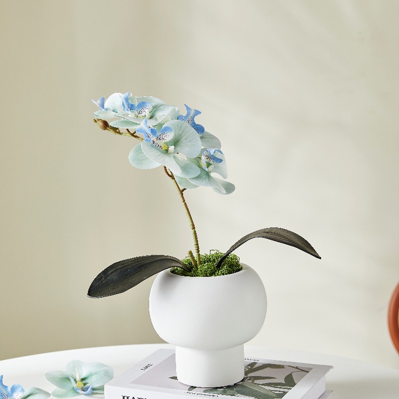 Impresión 3D de 7 cabezas de orquídeas mariposa flor de decoración de flores de alto nivel flor de nicho decoración floral decoración de sala de estar