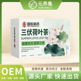 三伏荷叶茶盒装荷叶茶薏苡仁赤小豆罗汉果茶组合茶养生茶代发批发