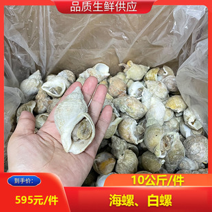 ���r����������ݾ�Ʒ����10���ﺣ�ݟoɳ�����˾�����r��Ƭ���