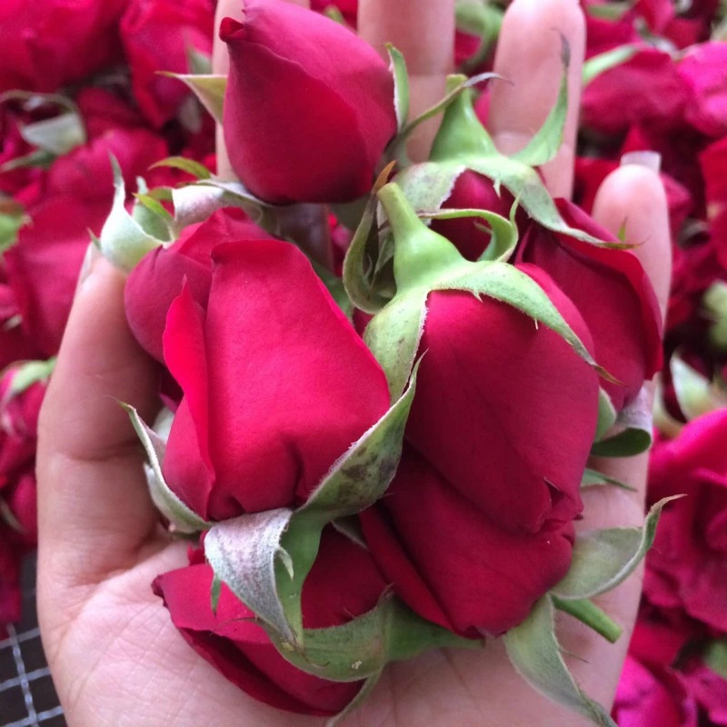 Mo Hong Rose Bud Tea Dried Yunnan Rosa Rugosa Flower Crowns Freeze Dried Edible Herbal Floral Tea 30g Jar quality and texture