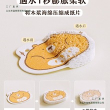 ľ{ϴ뺣dˢ偽oʳͯĨ냺坍ٝ