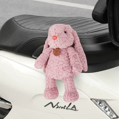 Aima Body Motorcycle Ornaments, Motorcycle Safety Supplies