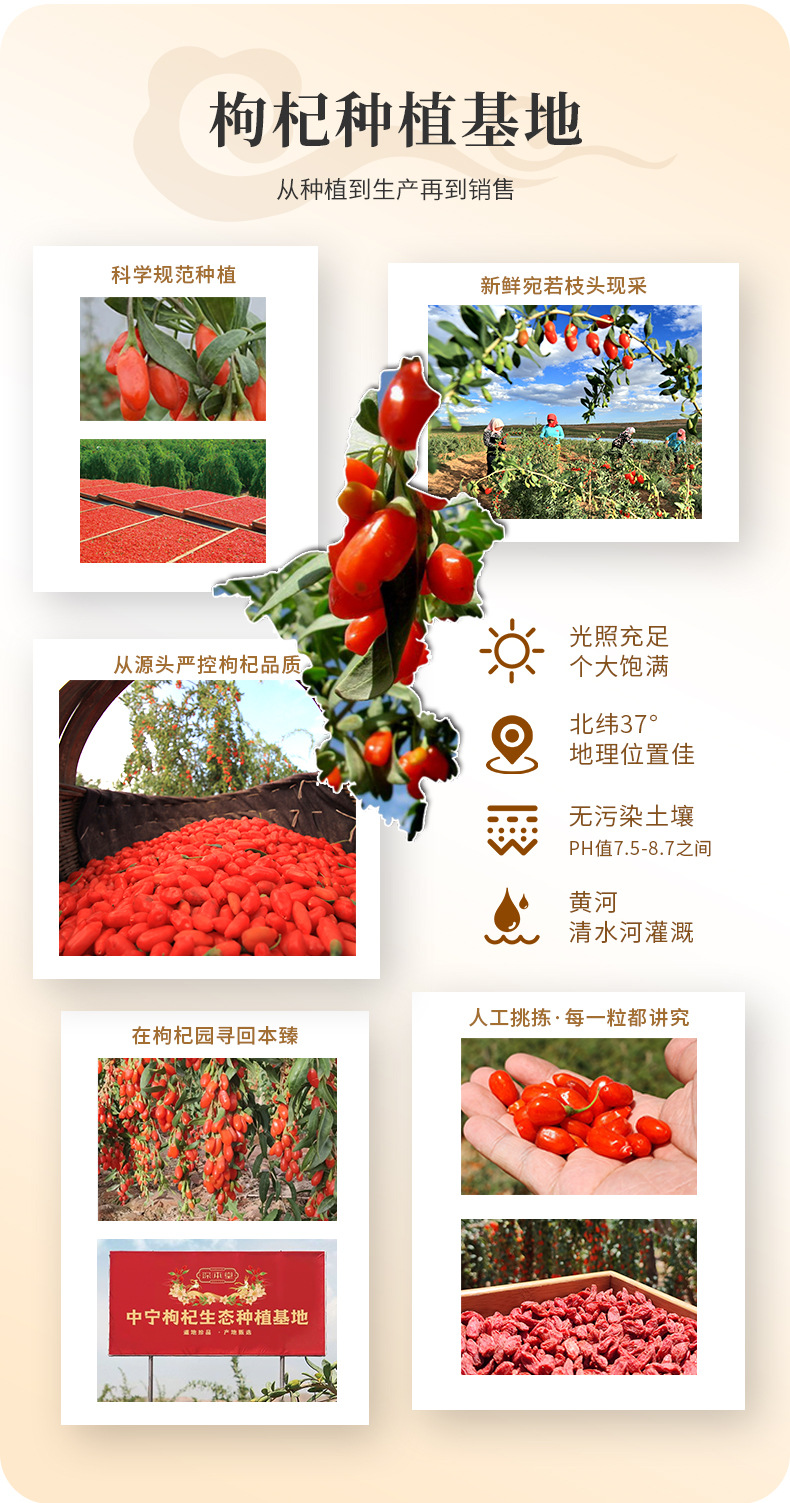 Dried Goji Berry Gift Box Ningxia Wolfberry 300g 15 Jars Ready to Eat specifications
