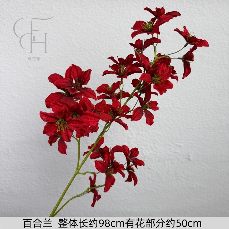 Baihe Lan