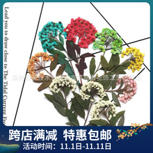 �¿֦Сˮ�ɉ����ɻ�DIY���z�֙C����ͯ�ֹ��������y ���Ѻ��