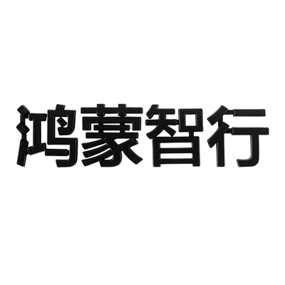 Zhijie R7 Car Mark Refitting — Car logo