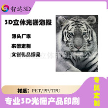 ���ӡˢ���ƿ羳��̱���3D׃�D��Ů� �����Α���߅���w����