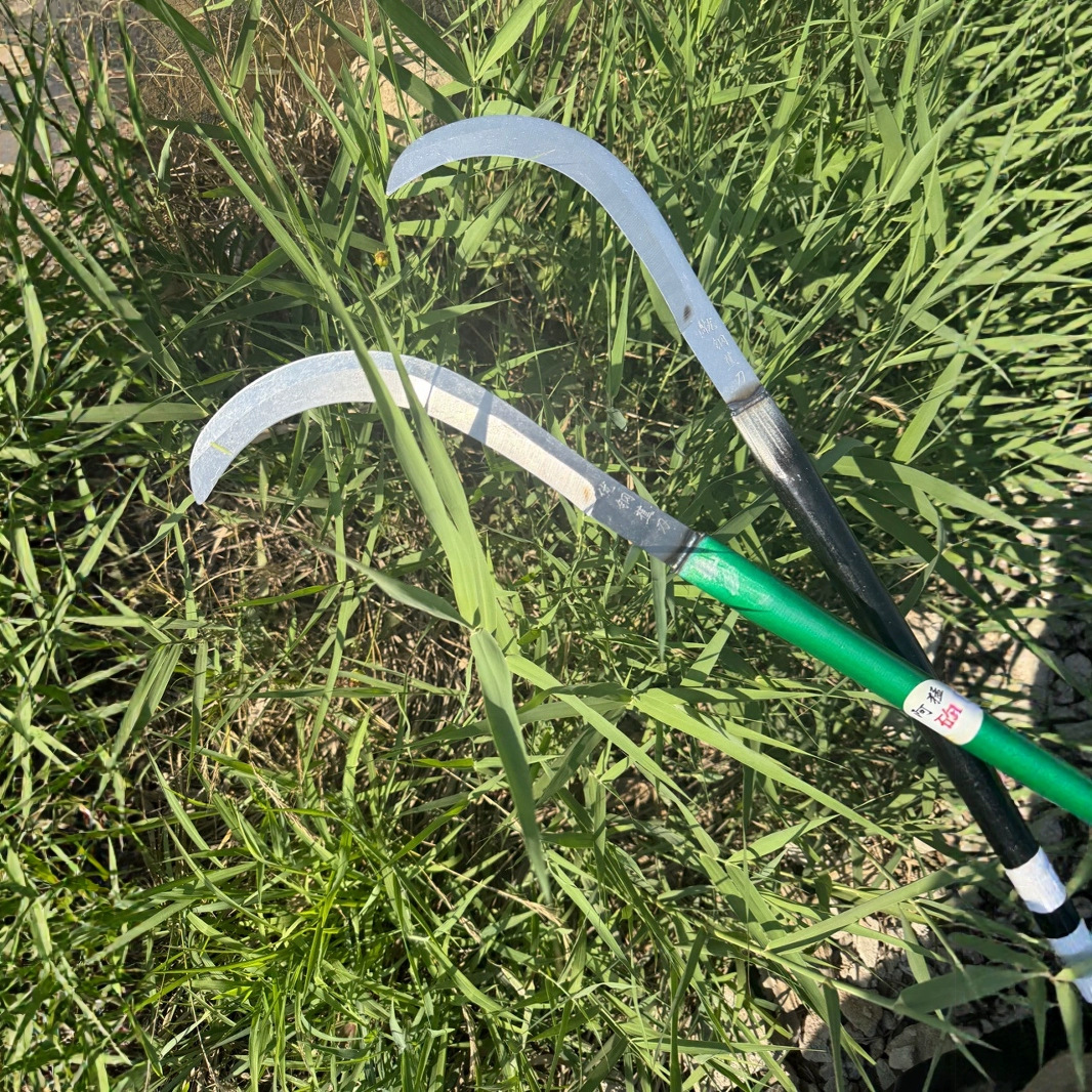 农用高锰钢镰刀柳叶割草刀小弯刀割香蕉小镰刀槟榔刀户外收割镰刀