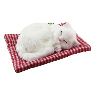 Можно назвать моделирование котенка кота поддельный Кот кукла плюшевая игрушка Кот украшения Отправить подруге ребенку подарок на день рождения