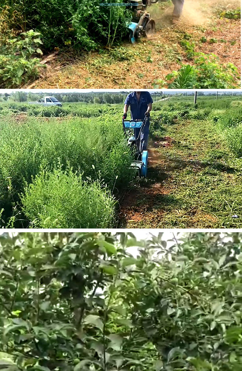 小型家用多功能碎草还田机自走式果园大棚苗圃秸秆开荒工具割草机详情7