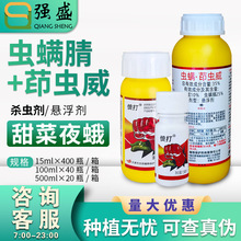 �h�� ����35%�x�\�����x����ײ�С�˶�����x���ҹ�ꚢ�x���rș