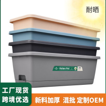 Ʒ�|�̨�N�˲�ݮ���������ϻ����ͥ�̨�߲��L�����[�Nֲ���҃�