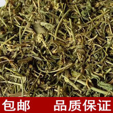 ��ҩ�� ��Ħ�� ��ˏ�� ��ĸ�̲� �̽��ٲ� �콬�ǲ�