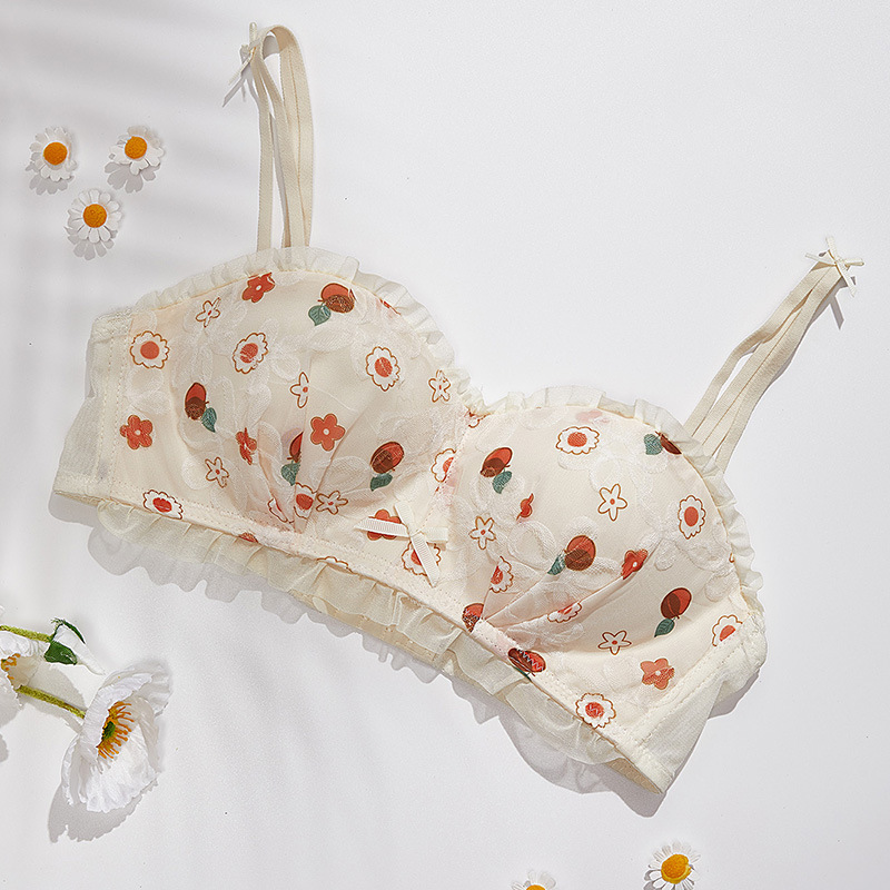 Venta directa de fábrica comercio electrónico transfronterizo Sudeste de Asia Vietnam Tailandia damas dulces sujetador de colección lateral sin costuras