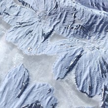 r͸WỨϽٽz𻨶ŮbͯbBȹ