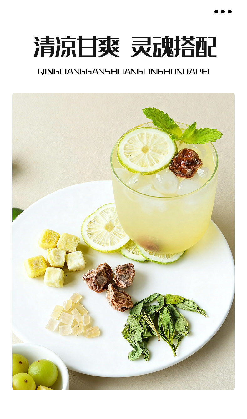 Plum Amla Mint Herbal Tea 20g x 10 Bags Sweet Sour Refreshing Brew specifications