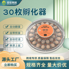 新品30H小鸡孵蛋器自动翻蛋智能迷你家用小型孵化设备带照蛋