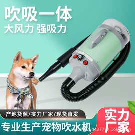 宠物吹水机
