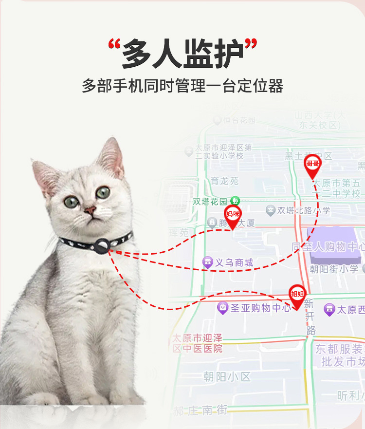 Findtag Haustier GPS Tracker Positionsbestimmung Hund Katze Verfolger Anti-Verlust Locator API-Integration