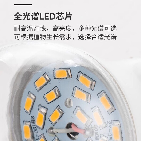 LED fill light