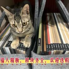 ���˾���ȫ�ݶ��ƙ��T�F�����s�๦�ܙ���F���ǌ�ľ�w������