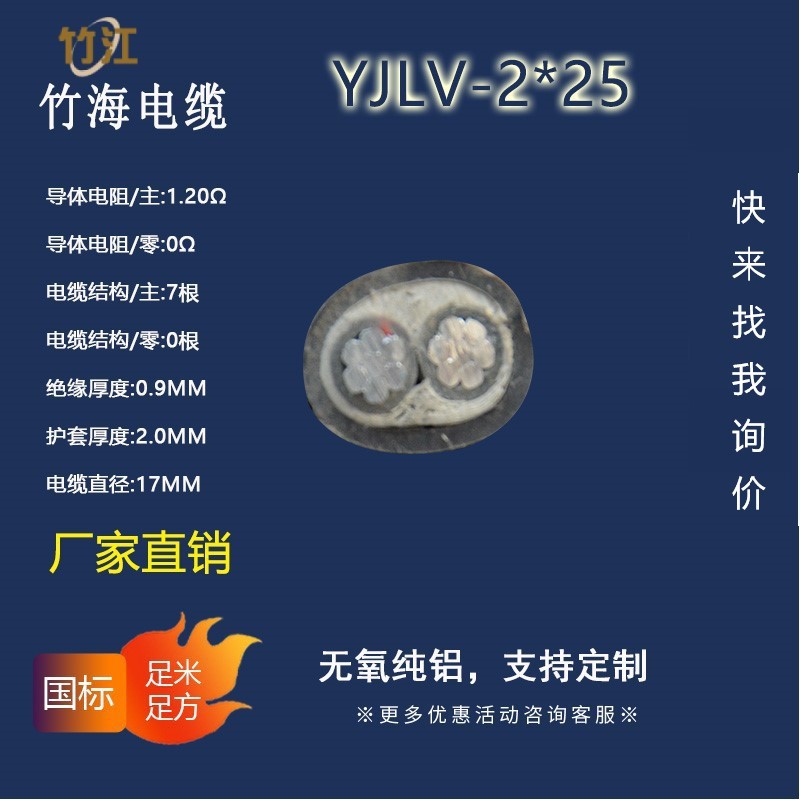 【竹海】电力电缆YJLV2*25 两芯无氧铝铠装国标电力铺设智能