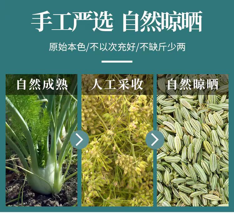 Fennel Seed (Foeniculum vulgare) — Gansu-Grown Food Herb & Culinary Spice, 500g key features