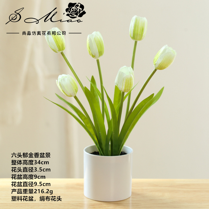 Color de flores 12216 Tulipanas verdes ☆