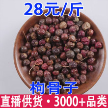 枸骨子 猫儿刺子 枸骨子 枸骨籽 八角刺子批发代发