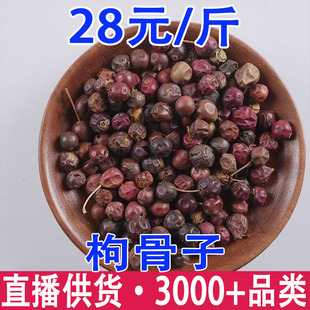 �۹��� ؈������ �۹��� �۹��� �˽Ǵ������l���l