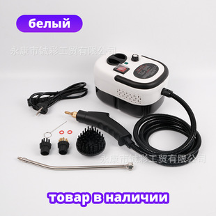 220V Russian Popular Model 2500W High Temperature and High Pressure Steam Cleaner Air Conditioner Kitchen Household Cleaning Machine Wholesale