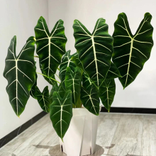 �G���Z�q������~��Gֲ�����҃�ֲ���^�~�Ꭷֲ�ﱱ�W�L�����l