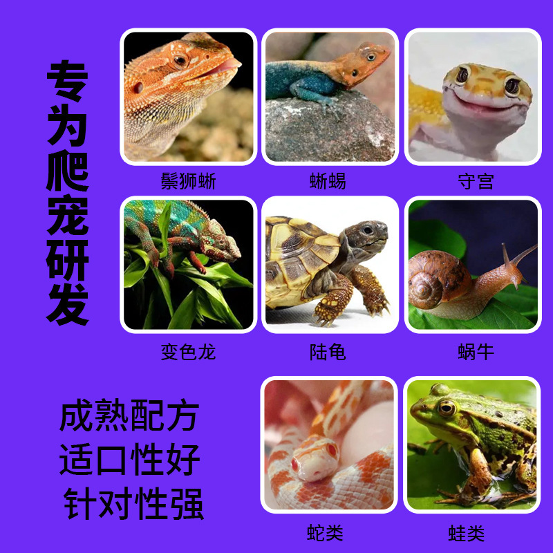 爬宠复合维生素氨基酸粉守宫鬃狮蜥蜴乌龟蜗牛蛇增强免疫力代加工|undefined