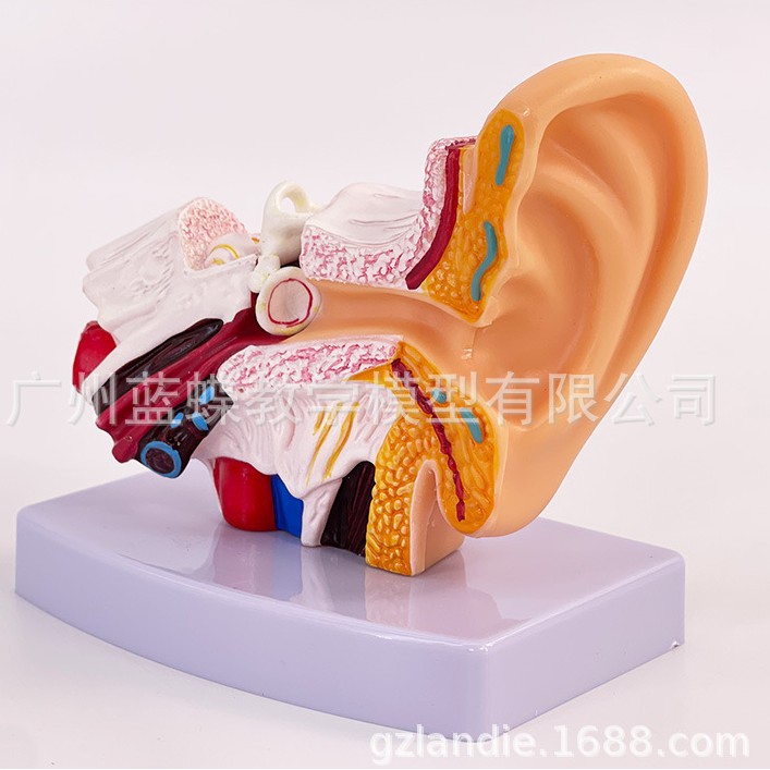 1.5���Ŵ������Ͷ�����ģ�������ڶ�������ϵͳ���ٶ��乹���ѧ