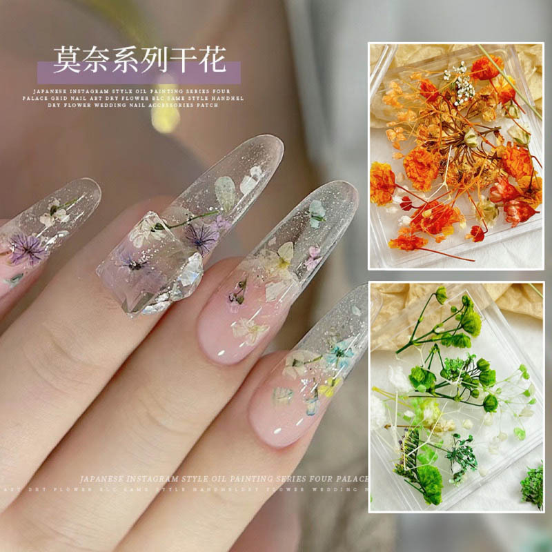 Japanese Ins Style Nail Art Dried Flowers Monet Garden Super Fairy Rendering Oil Painting Small Floral Diy Nail Material Bag Jewelry