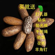 千眼菩提子原仔原料大果霸王果胖果按斤千眼菩提白果绿果原果精选