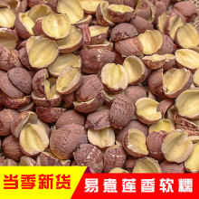 �tɏ�Ӱ��_������ɏȥ��ɏ�Ӹ�؛ĥƤ�tɏ����؛���x���_�tɏ��