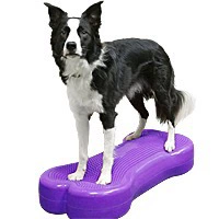 American FitPAWS K9FITbone форма кости Фитнес мяч домашнее животное Мышцы Фитнес Спорт реабилитация тренировки реабилитация