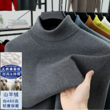 ɣ�Q�z��q����2026�ﶬ������Ӻ�ë�´������ɽ��q��ʿ��ů