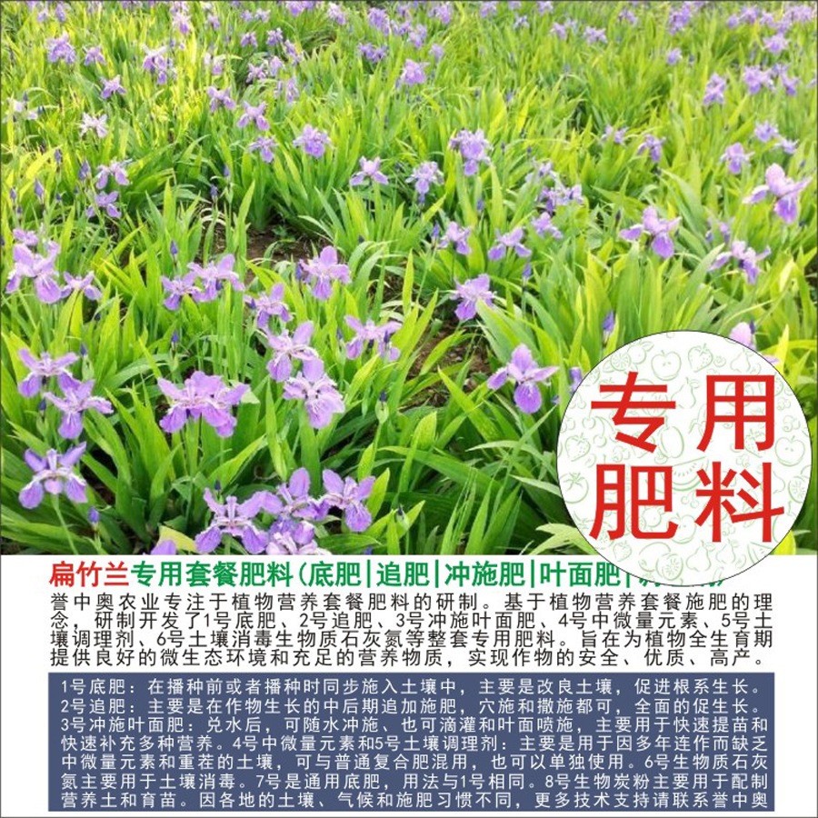 1-50斤誉中奥扁竹兰鸢尾花专用有机肥复合肥底肥追肥叶面肥冲施肥